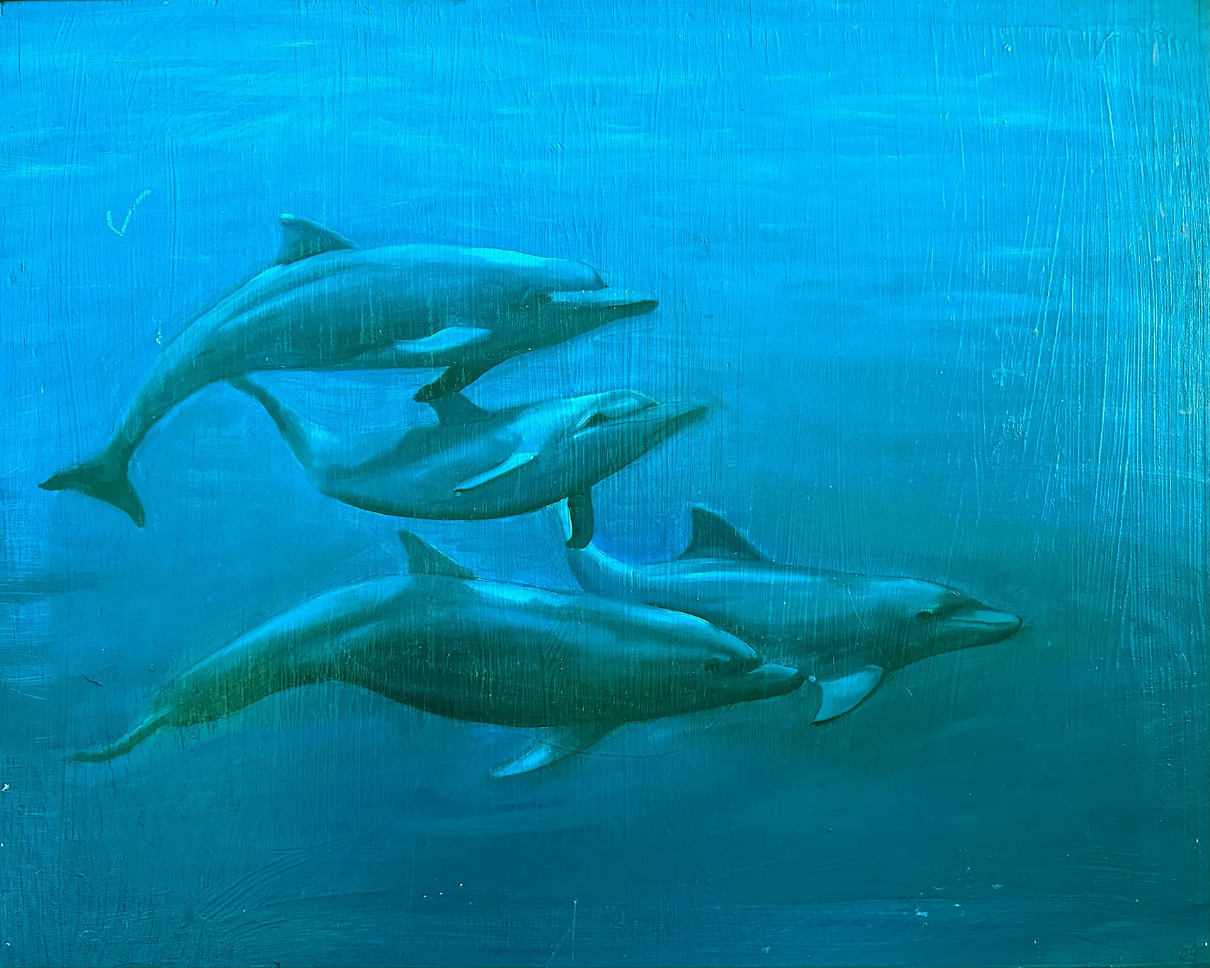 Dolphins